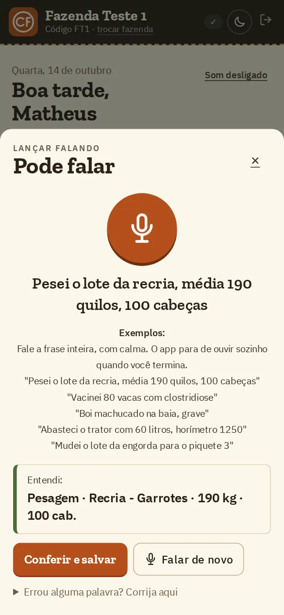 Tela Pode falar, mostrando o que o app entendeu da frase falada
