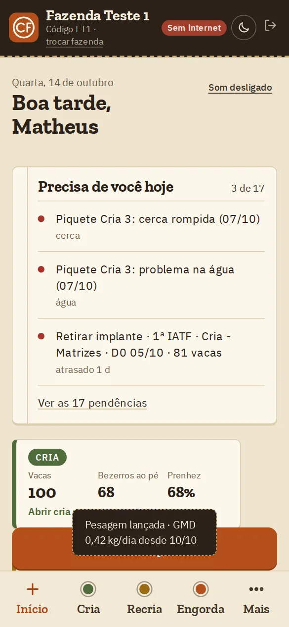 Tela Início com o selo Sem internet e a pesagem guardada no celular
